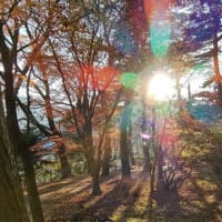 眩しいくらいに
