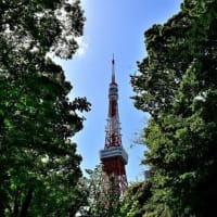 東京タワー　２（鯉のぼり）