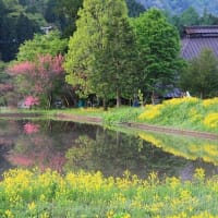 山麓にも春の訪れ。。。