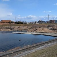 店舗近くの川