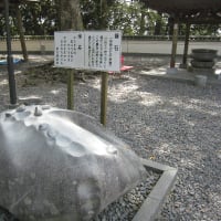 お遍路へ（５日目）