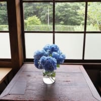 食の学び舎で旬野菜ランチ
