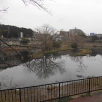 福岡県郵便局訪問　NO.13　福岡市南区、春日市　福岡市南区の郵便局の完訪が達成でき、春日市にも行くことのできた郵便局訪問でした