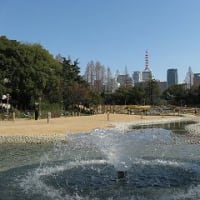 大阪市の靱公園