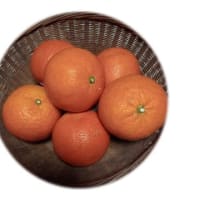 暖かくなりました～