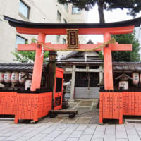 観亀稲荷神社 クローバーと猫