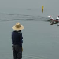 ２４節季小暑です