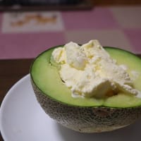 5/25（日）メロンを食べました