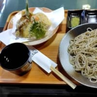 井波の蕎麦