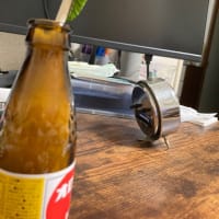 アゲハ蝶観察日記October