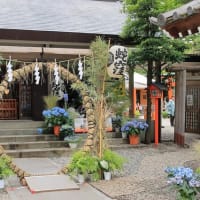 蛇窪神社の茅の輪くぐり