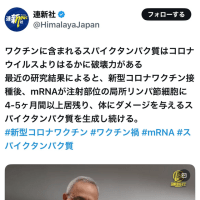 スパイがなんかいってますWWWWWWWW／(^o^)＼