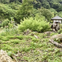 華蔵院の不思議
