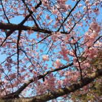 宇都宮城です。