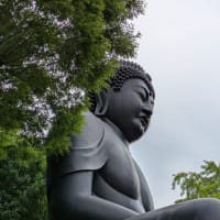 梅雨の合間の曇り、東京大仏へ。