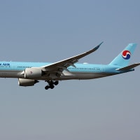 最近見た航空機　　福岡空港