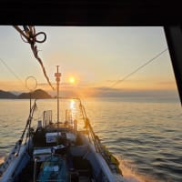 快晴で暑い中　6月29日(日)