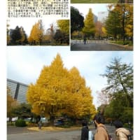 施設案内東京-537   赤坂見附情報