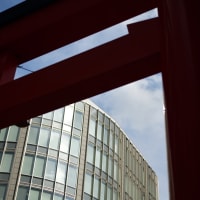 生田神社一の鳥居　-AF Micro Nikkor 55mm F2.8-