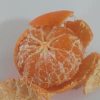 みかんの皮を食べる話