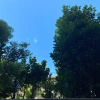今日もいい天気