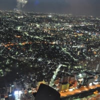 横浜ランドマークからの夜景