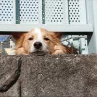 長らくお世話になりました