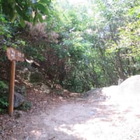 2025年6月　6回目の宮島弥山トレッキング(博打尾・大元公園コース)は真夏でした。