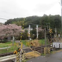 中川神社への道のり