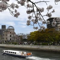 桜の花咲く平和記念公園