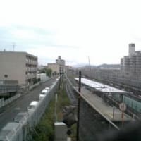 よさこい踊りしました