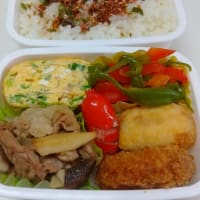 2025.7.7(月)~10(木)のお弁当とパスタなど