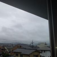 2025年6月15日（日）雨のち曇。
