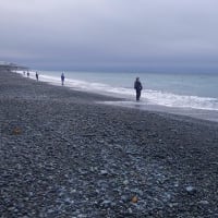 2025/07/12　土　国府津海岸