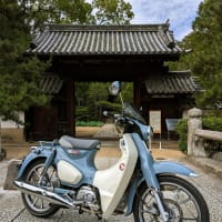 久しぶりにC125