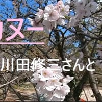 桜カヌー体験・・2024.3.27佐賀牛津