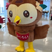 2024年総括