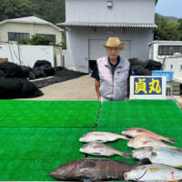 ７月９日 水曜日