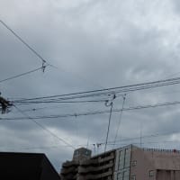 曇り空で湿度高め　１１９４８回目のブログ更新