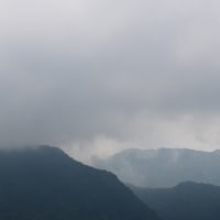 わかって欲しいは　認めてほしい