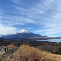 山梨旅、山中湖展望台