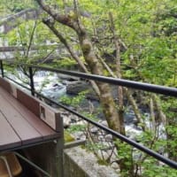 箱根：箱根神社と大涌谷