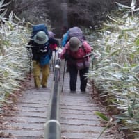 日本百低山「石割山」（標高1,412ｍ）