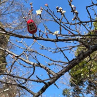 春なのに、春なのに、ため息、またひとつ♬