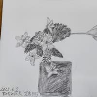6月の絵を描いてみる会