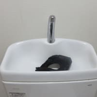 売れ残り