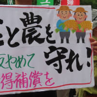 「立憲主義を取り戻すオール埼玉総行動」４３００人が参加「九条壊すな」とデモ