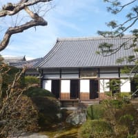 旧崇廣堂に行ってきました（再録）