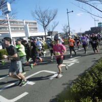 「2024年熊本城マラソンP...」
