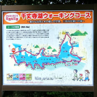 今日は兵庫県三田市にある「千丈寺湖」へ行きました